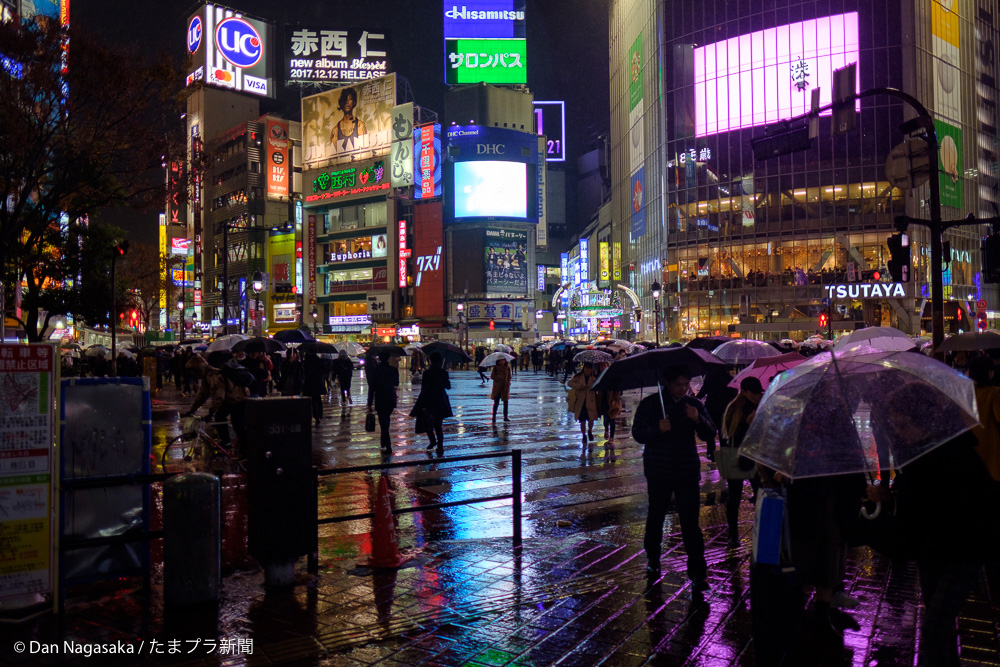 夜雨の渋谷 クリスマス イルミネーション たまプラ新聞