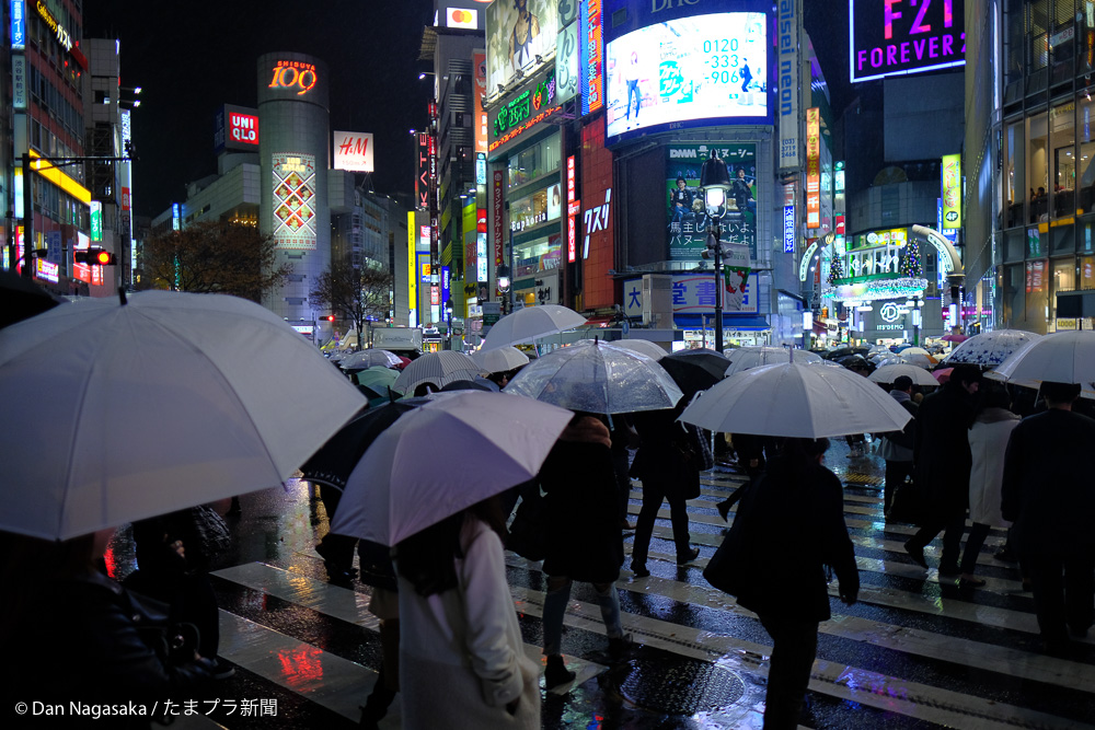 渋谷スクランブル交差点の傘の花