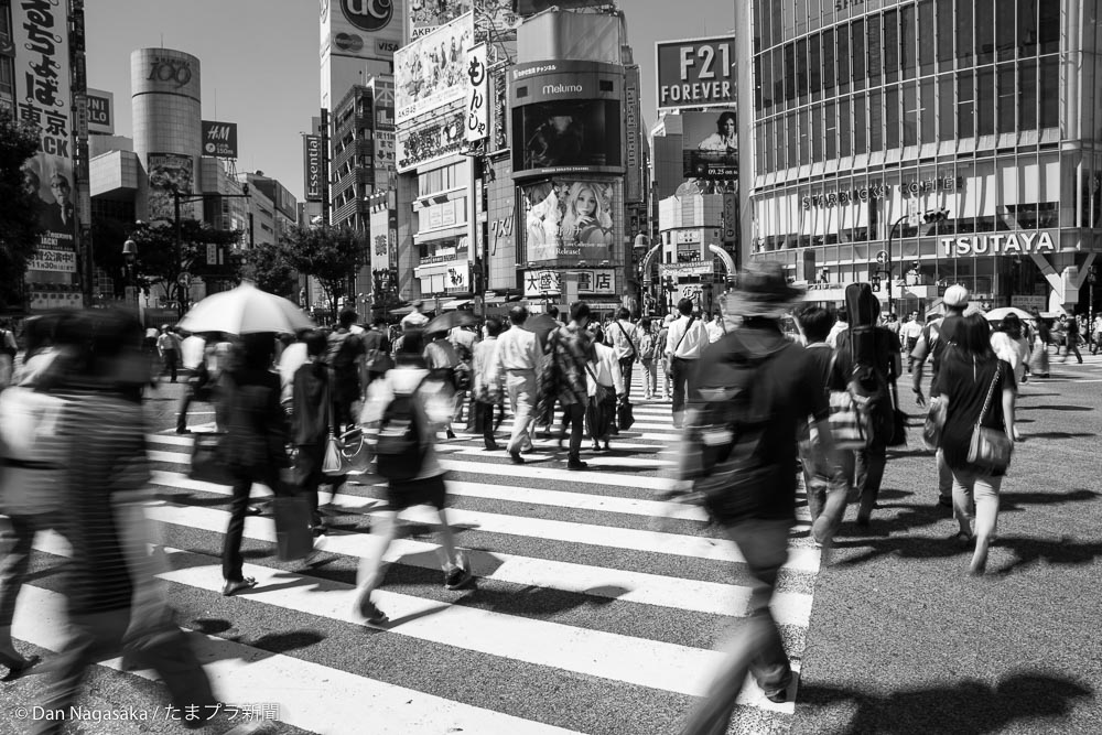 都会の街 渋谷の白黒写真 たまプロ新聞