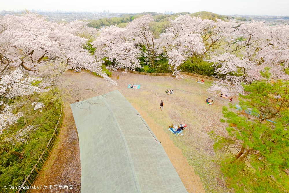 枡形山展望台 枡形城跡 都心まで見渡せる 生田緑地 たまプラ新聞