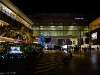 たまプラーザ駅北口クリスマスツリー