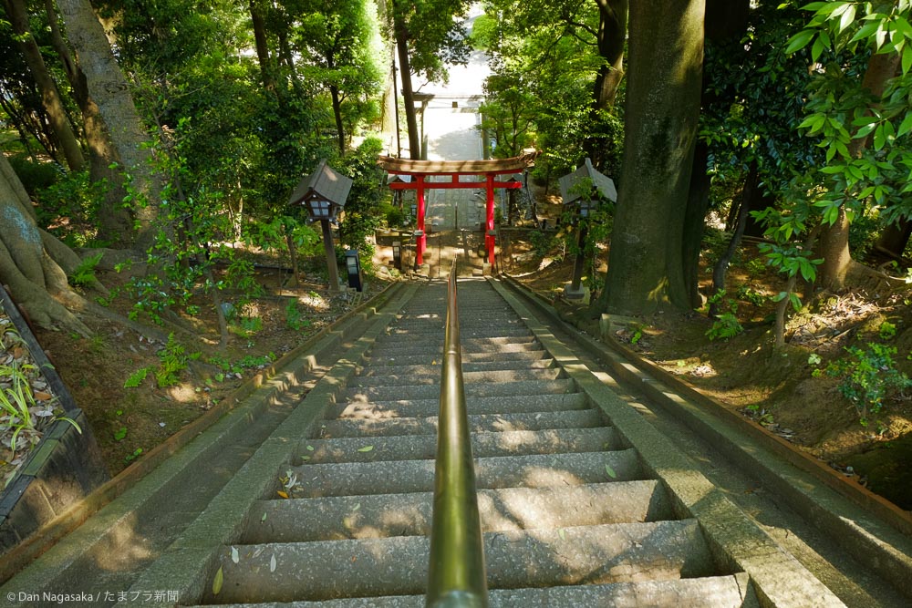 杉山神社