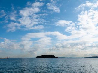 東京湾に浮かぶ無人島猿島