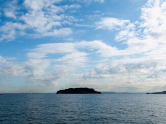 東京湾の無人島 猿島