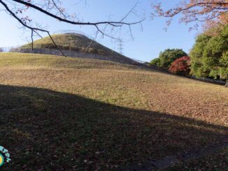 川和富士公園の富士塚