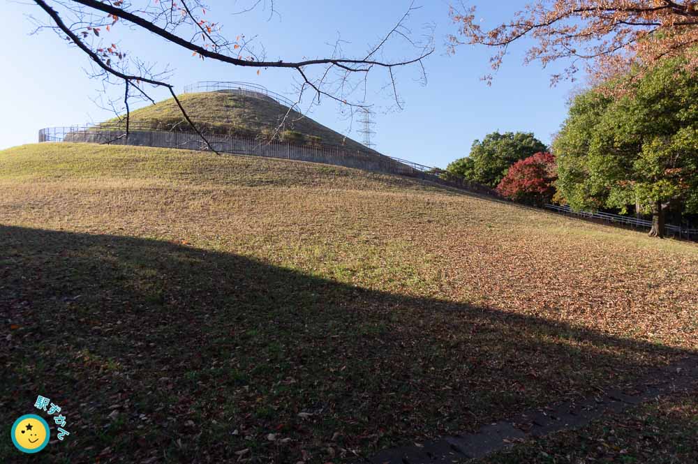 川和富士公園の富士塚