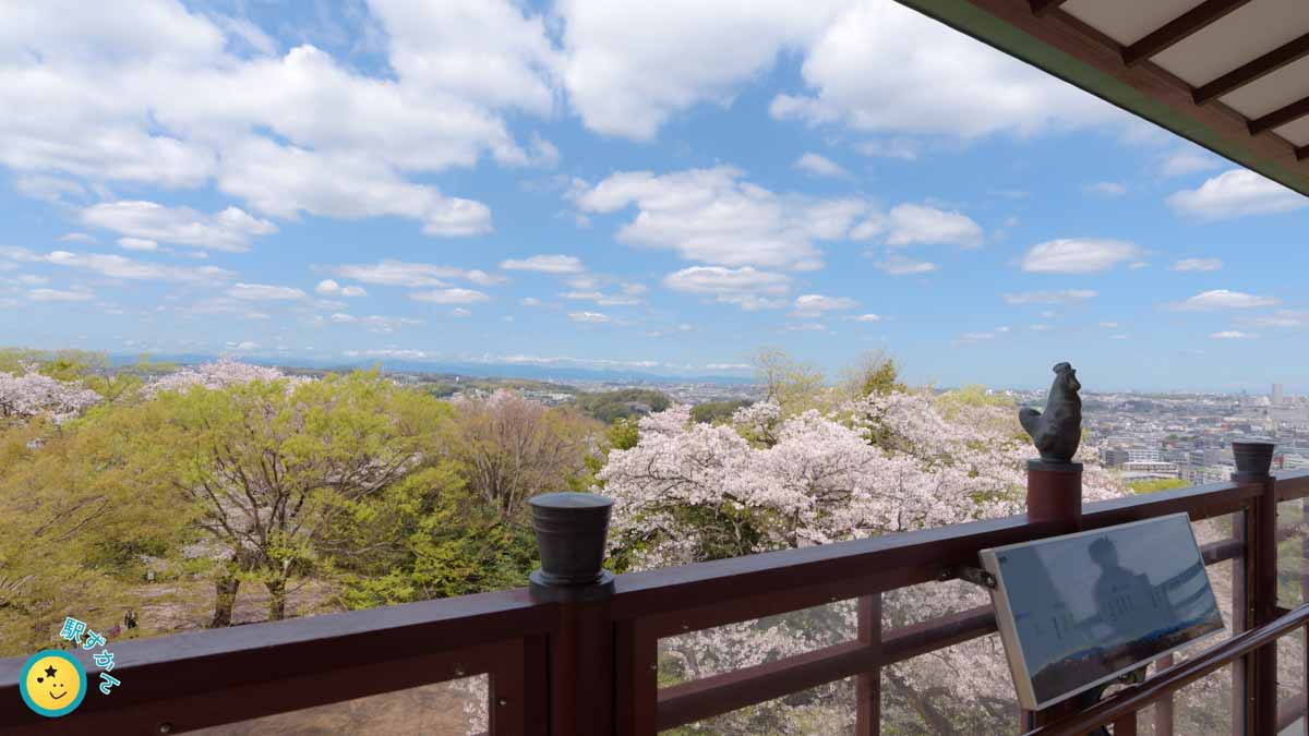 生田緑地 枡形山からの桜
