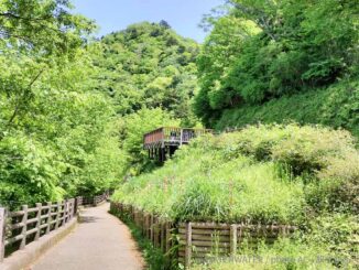 津久井湖城山公園の展望デッキと山頂