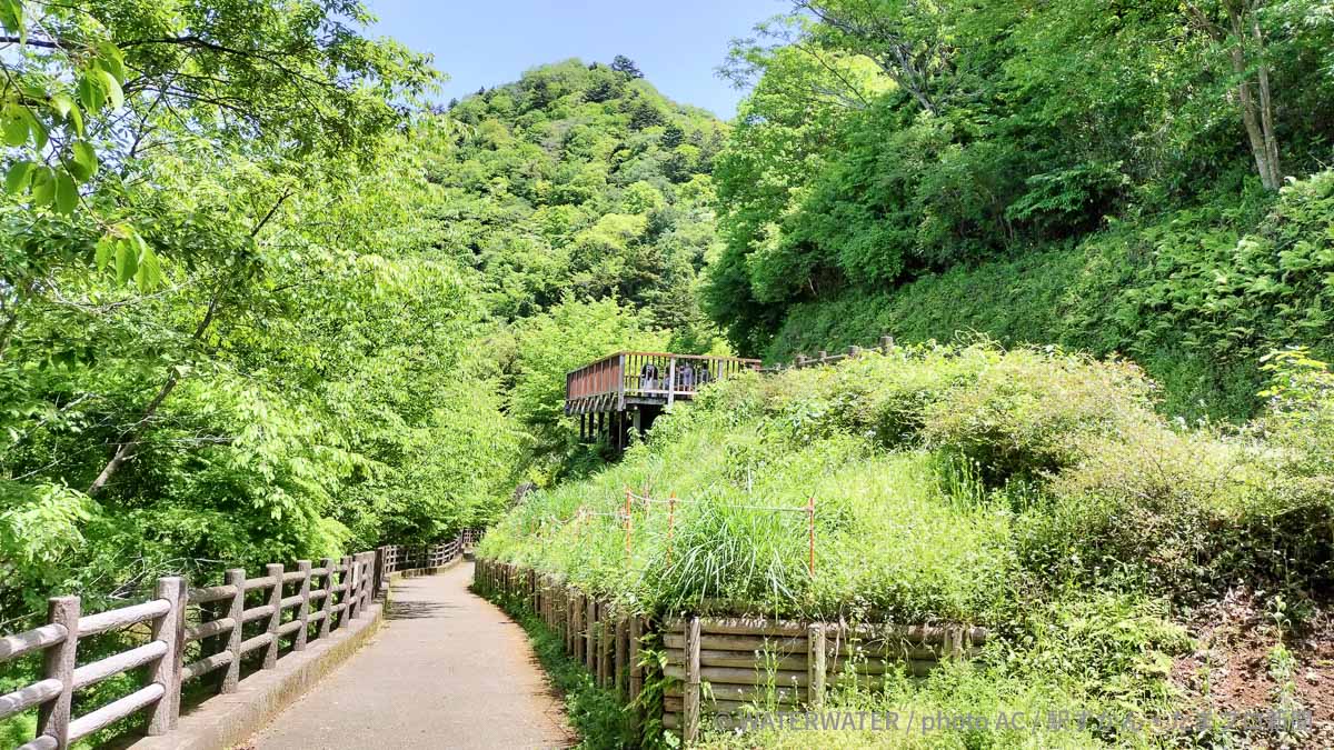 津久井湖城山公園の展望デッキと山頂