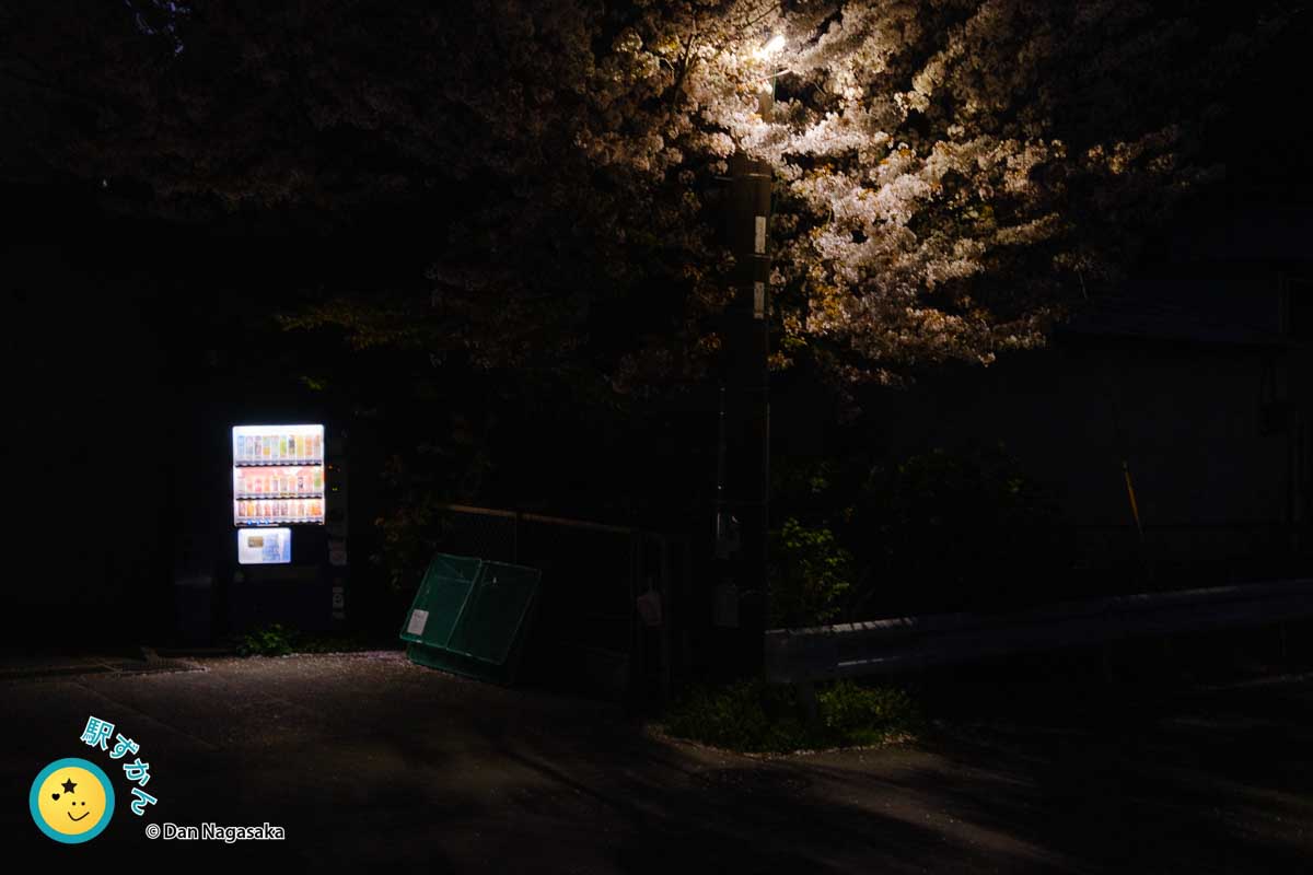 夜桜と自動販売機