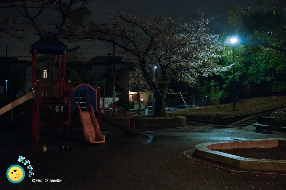 山内公園の夜桜