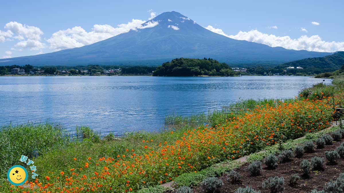 河口湖からの富士山