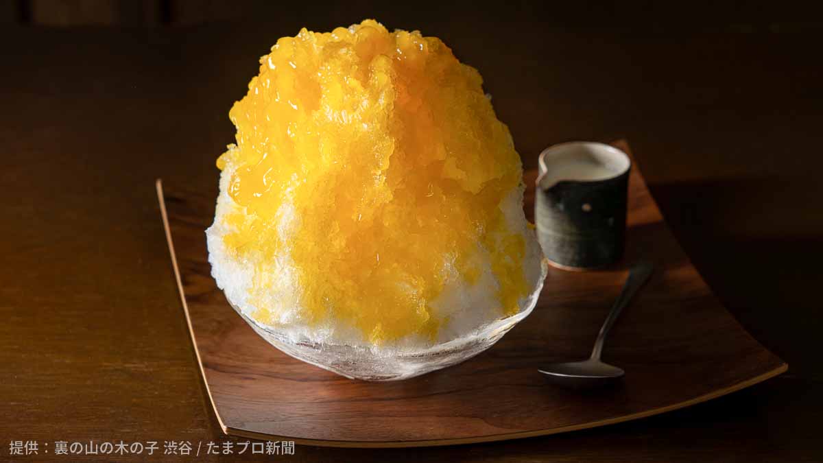 マンゴー杏仁豆腐かき氷