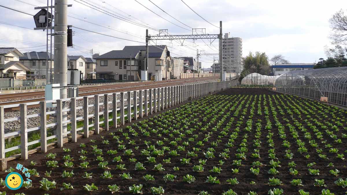 調布駅西側