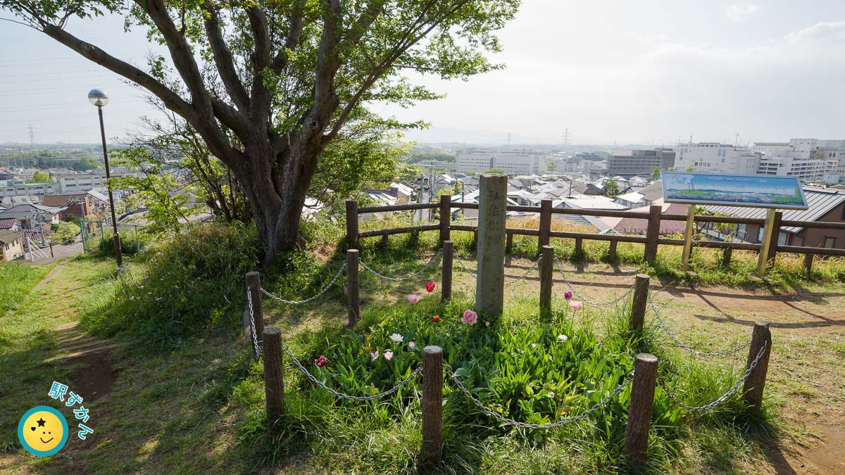 弘法松跡と新百合ヶ丘方面