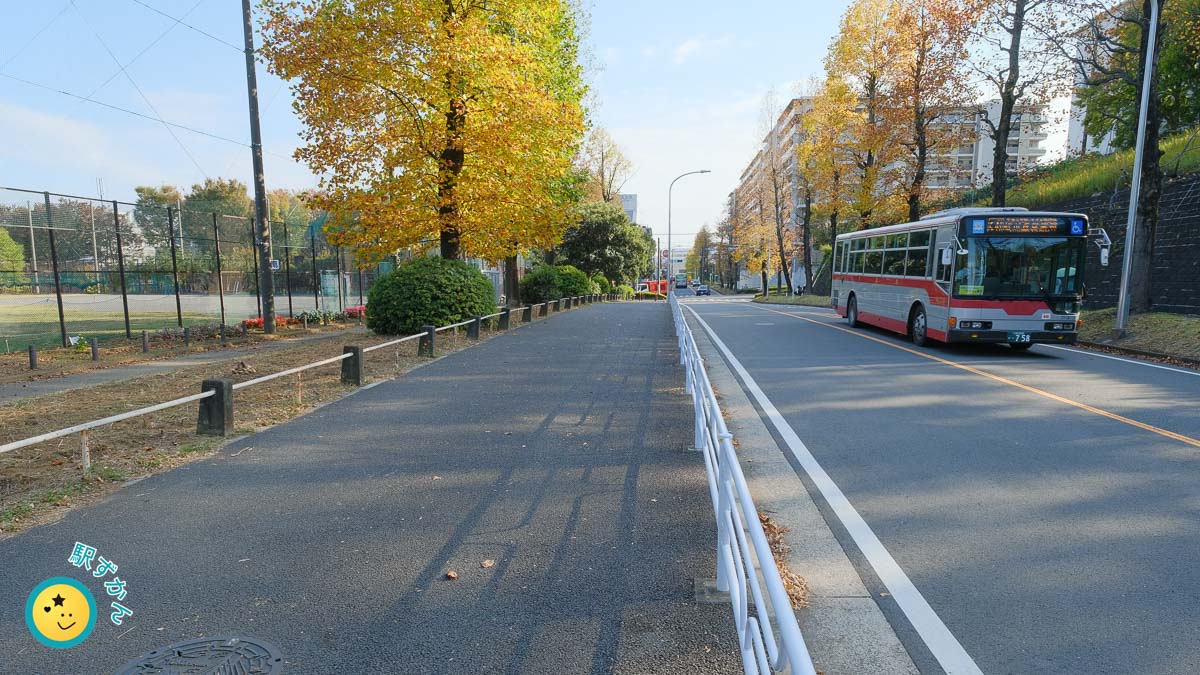 ユリノキ通りと路線バス