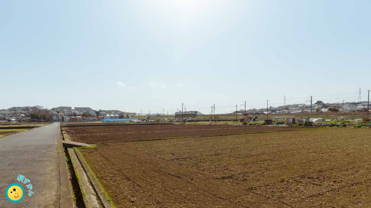長津田-恩田の畑