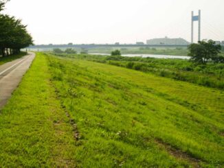 稲城市 多摩サイクリングロード