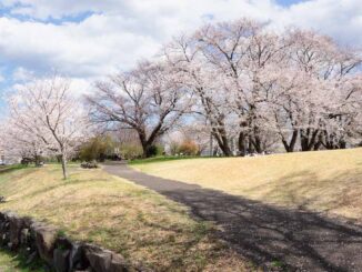 中川八幡山公園
