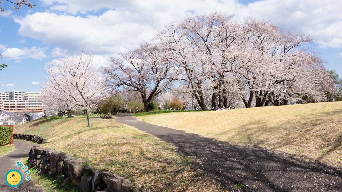 中川八幡山公園