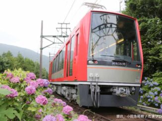 小田急箱根 箱根登山電車