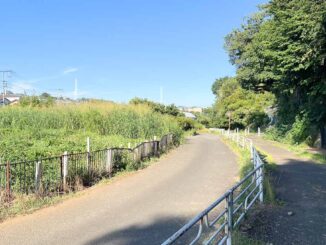 源流近くの早渕川の暗渠