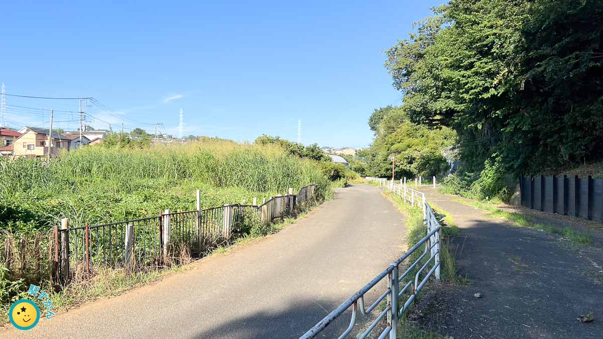 源流近くの早渕川の暗渠