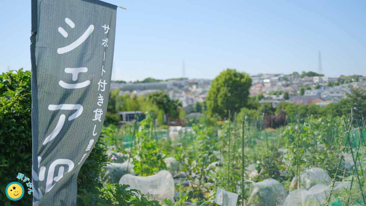 シェア畑 美しが丘