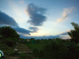 夕焼けの雲