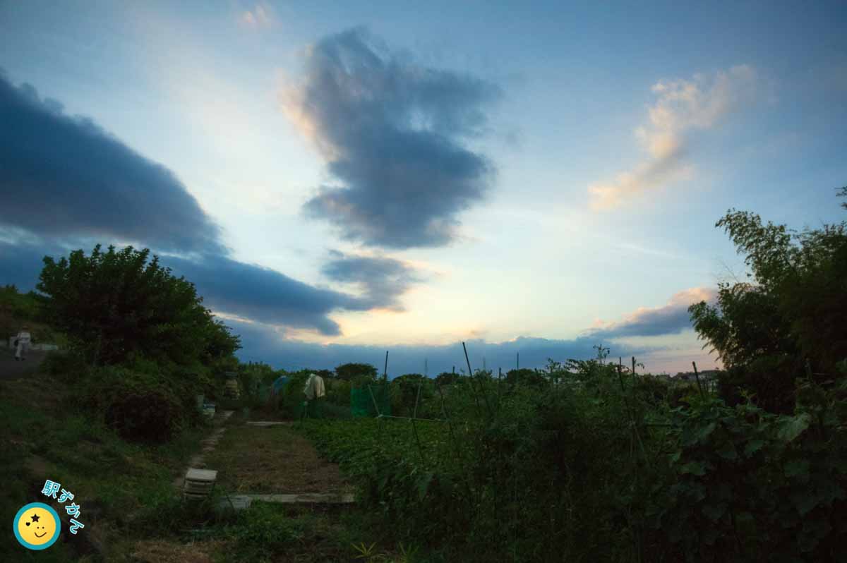 夕焼けの雲