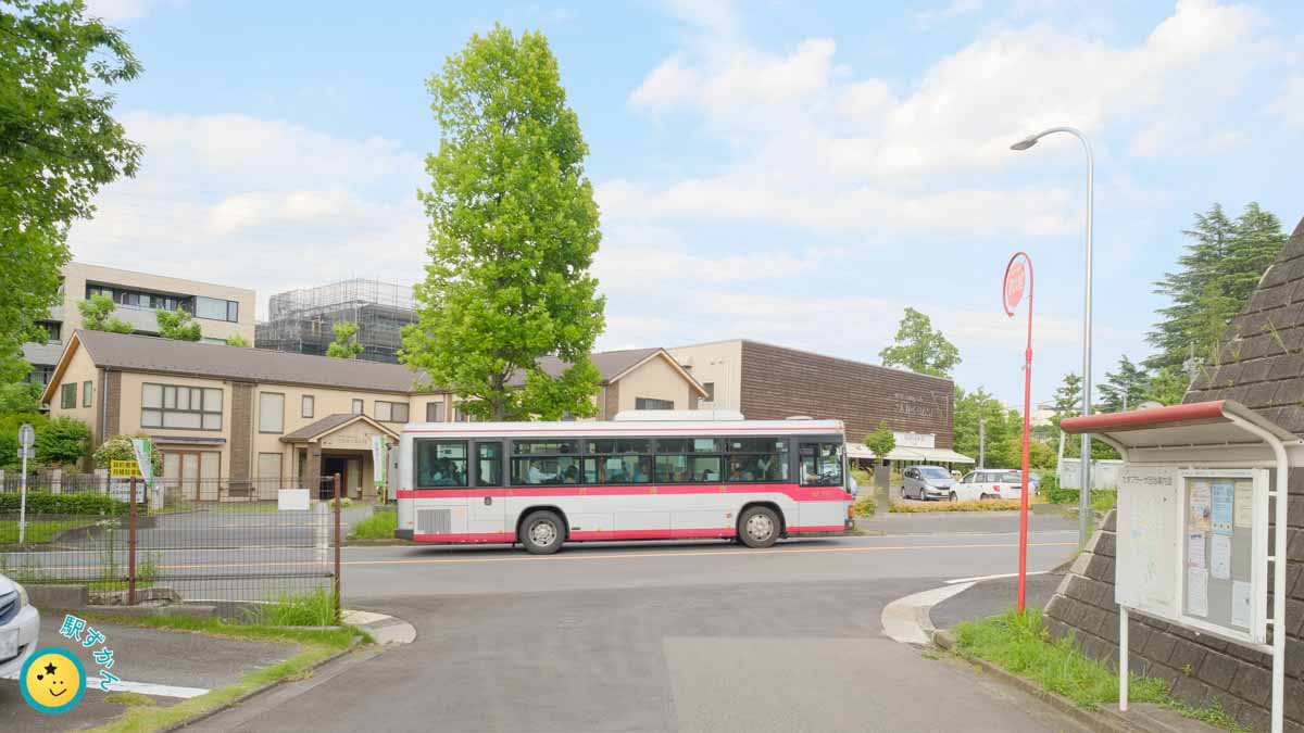 東急バスの側面