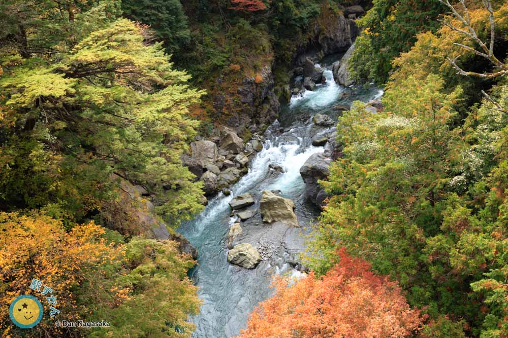 鳩ノ巣小橋より多摩川上流