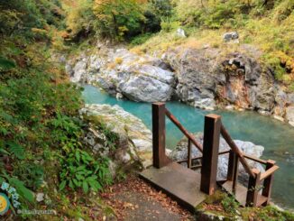 多摩川沿いへ降りる階段