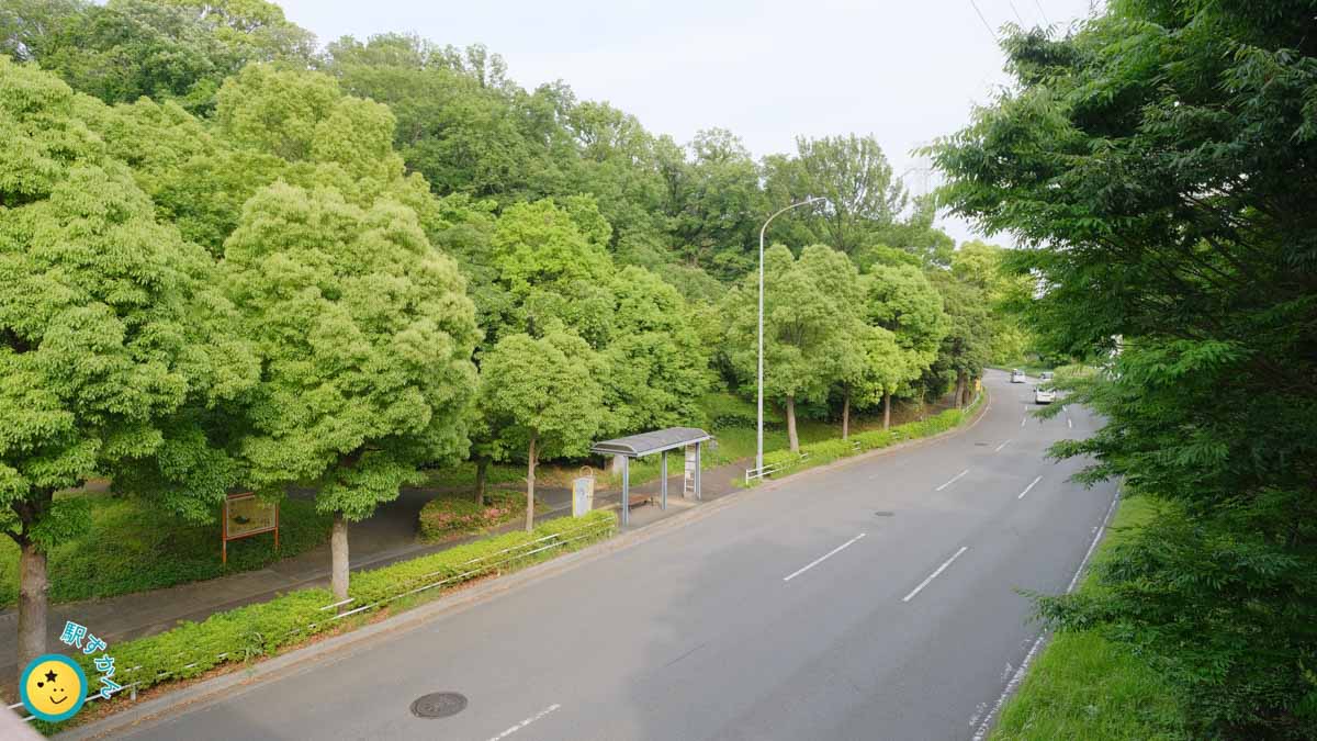 葛ヶ谷公園と新横浜元石川線