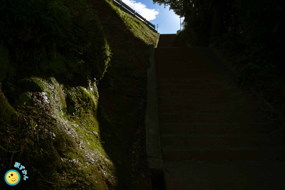 早渕川より花桃の丘を見上げる