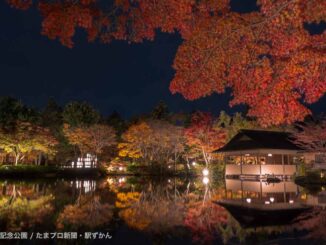 昭和記念公園の日本庭園