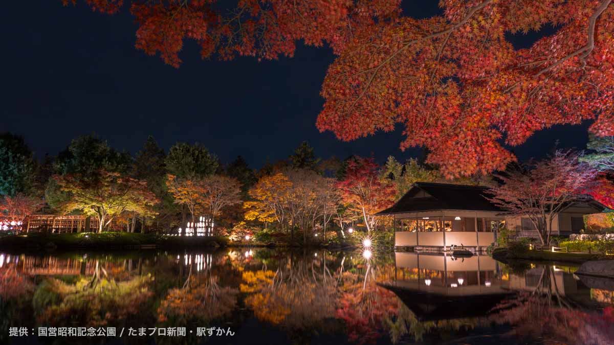 昭和記念公園の日本庭園