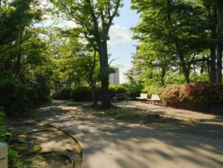 万福寺檜山公園の上部