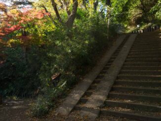 東口から枡形山への登山ルート