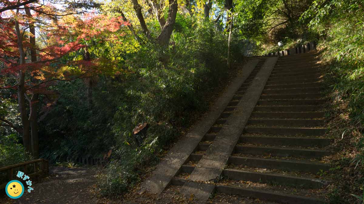 東口から枡形山への登山ルート