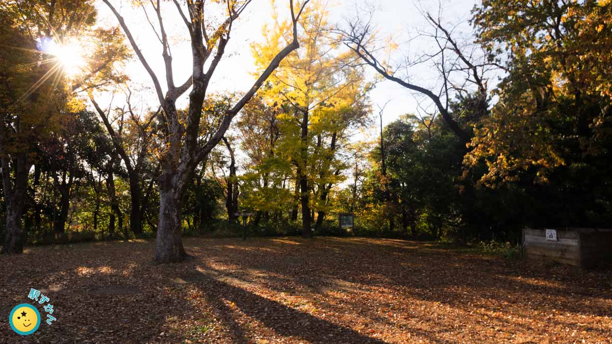 枡形山山頂広場の紅葉