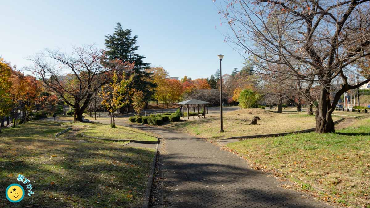 美しが丘公園の紅葉