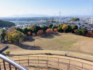 川和富士公園の紅葉