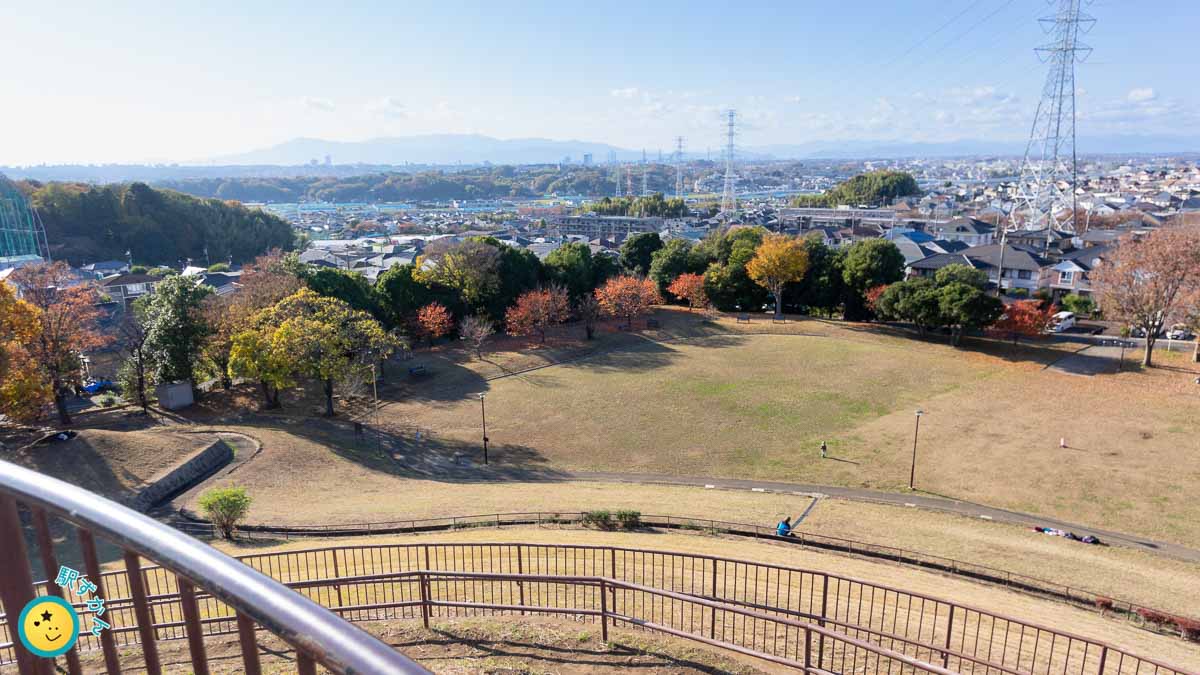 川和富士公園の紅葉