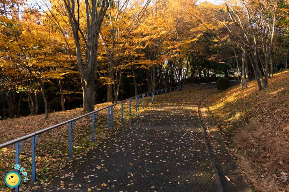 紅葉が鮮やかな坂道