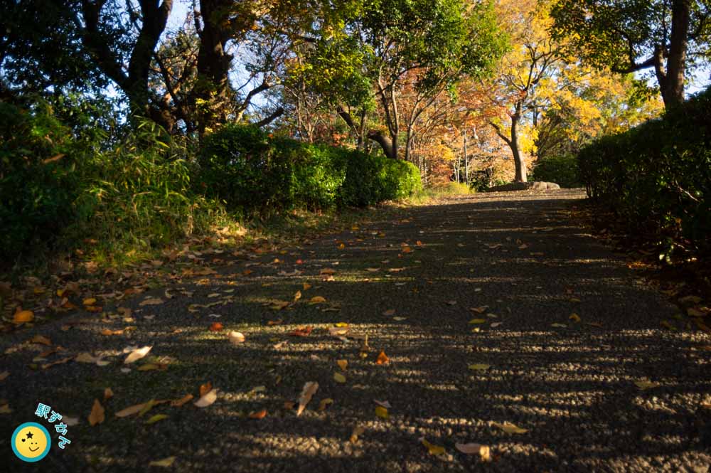 都筑中央公園の紅葉