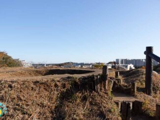 山田富士公園・富士塚山頂