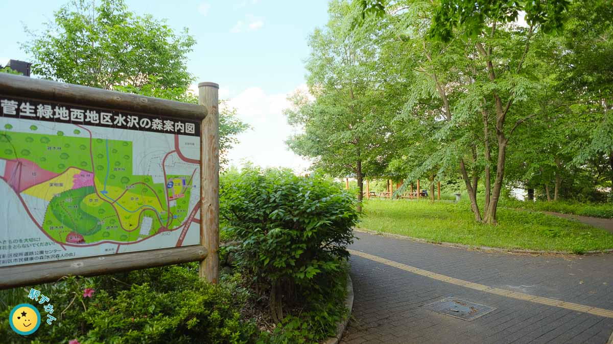 水沢の森・菅生緑地 西地区広場