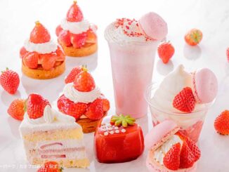 ベルグの4月 南町田グランベリーパーク店