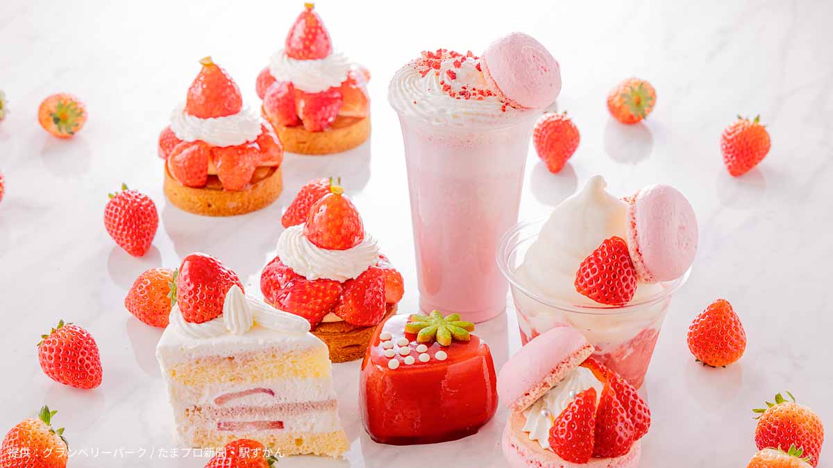 ベルグの4月 南町田グランベリーパーク店
